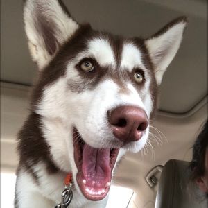 Meet your Posher, Traci